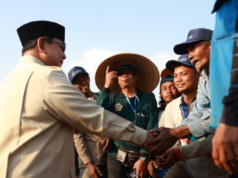Presiden Prabowo Panen Raya Tebu di Malang, Serap Aspirasi Petani