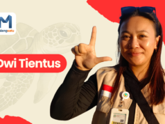 Dwi Tientus, Srikandi Penyelamat Penyu Pesisir Malang