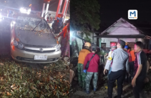 Pohon Tumbang di Kendalpayak Timpa 6 Kendaraan, 9 Korban Terluka