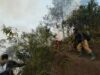 Karhutla Gunung Bromo Meluas hingga 51 Hektare, Petugas Hadapi Tantangan Angin Kencang